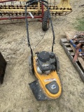 Walk Behind trimmer needs Carb