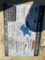 New Land Honor 400Lb Cast iron Anvil