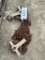 1000 lb Chain Hoist