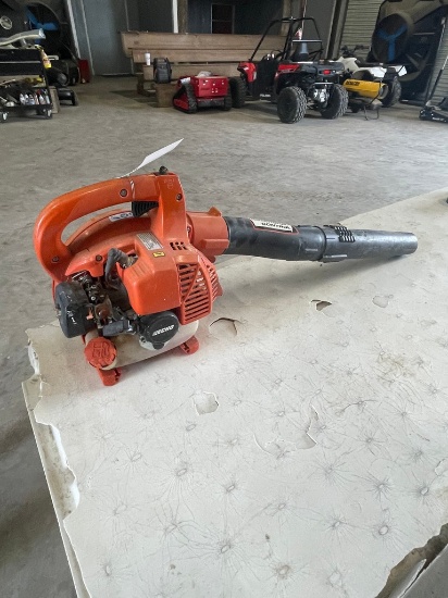 Echo PB-250 LN Blower