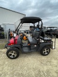 2018 Bennche Elecftric Golf Cart  with rear bench seat Built in chargerr Batteries are 2 years old