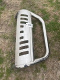 Chrome bull bar