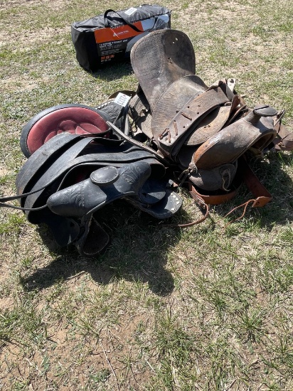 2 Saddles