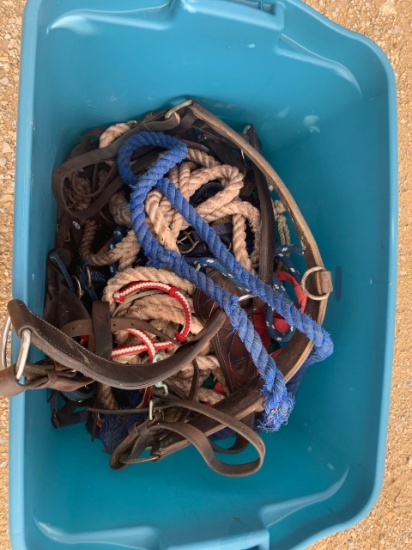 Tub of Horse Halters