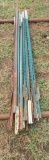 Steel Fence Posts / Bundle of T Posts