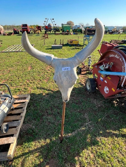 Cast Iron Skull Head with Rock Bar