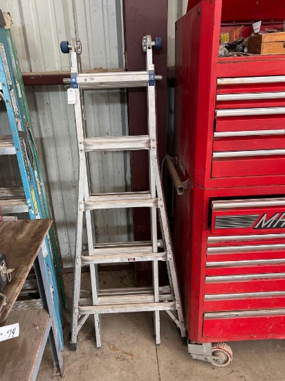 Warner Adjustable Ladder
