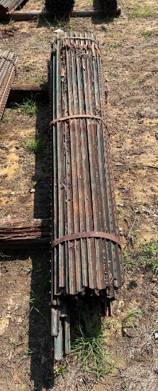 Bundle of 10 foot T-posts