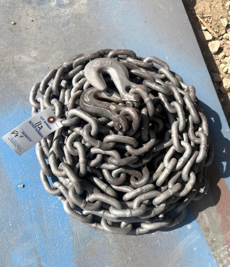 5/8 in Chain with Both Hooks