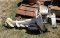 Johnson Sea-Horse 5 1/2 - Boat Motor