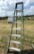 8 foot Davidson Fiberglass Ladder