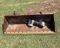 Front Bucket for a Loader