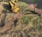 3-point Boom Lift