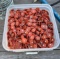 Tub of 1 inch Roofing Nails