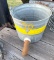 Calf Nipple Pale / Feeder