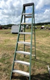 8 foot Davidson Fiberglass Ladder