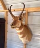 Antelope Mount