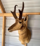 Antelope Mount