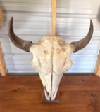Buffalo Head Skull on Stand