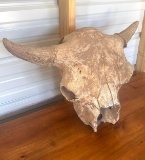 Skull Head