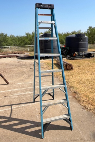 Werner 8 ft. Fiberglass Step Ladder