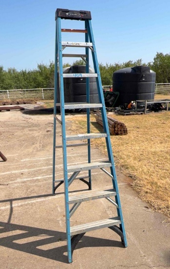 Werner 8 ft. Fiberglass Ladder