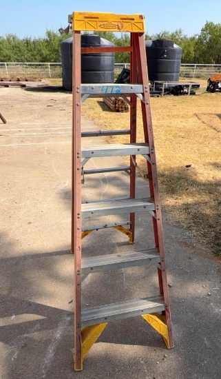 Werner 6 ft. Step Ladder