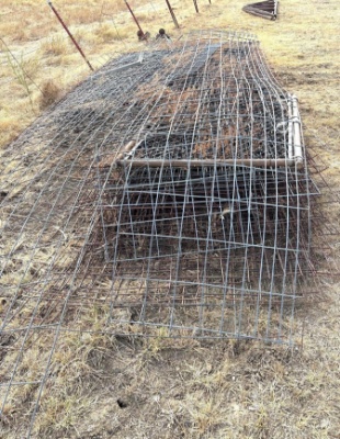 Assorted Livestock or Utility Panels