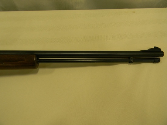 22 LR  GLENFIELD 60 SEMI AUTO #21487425