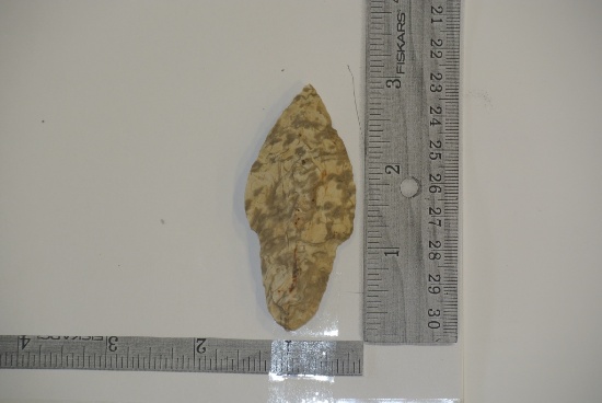 DICKSON - WOODLAND FLINT - KNOX COUNTY 2 7/8 X 1 1/4"