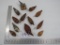HAND CARVED BIRDS AND WATERFOWL