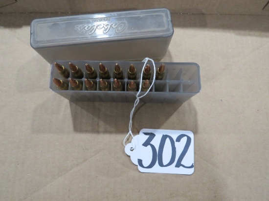 HORNADY .223 REM (15 RNDS)