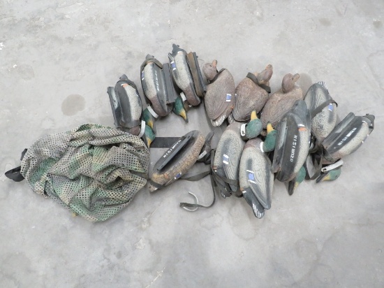 12 DUCK DECOYS