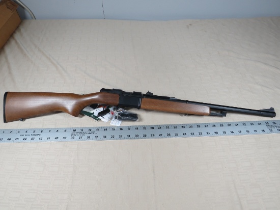 22 LR DAISY LEGACY MOD 2313