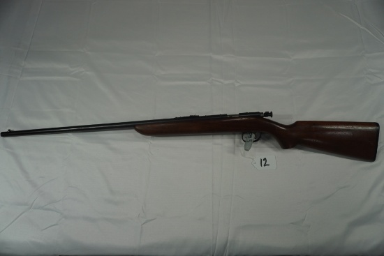 22 CAL REMINGTON 41