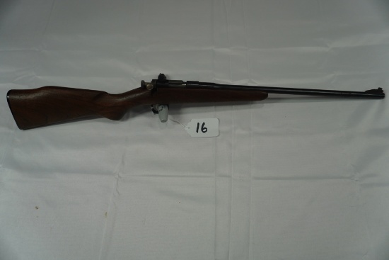 22 CAL ROGUE CHIPMUNK