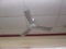 Ceiling Fans