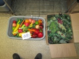 Artificial Fruit
