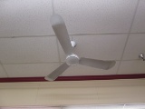 Ceiling Fans