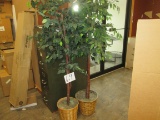 Two Artificial Trees