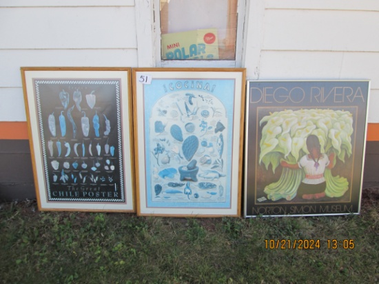 3 Large Framed Pictures