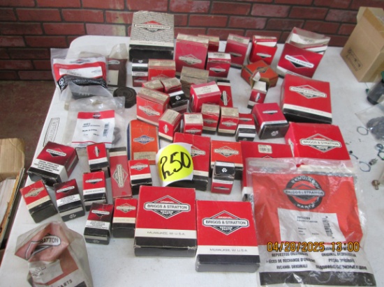 Large Asst. Ment Briggs & Stratton Parts