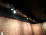 *LOT*TRACK LIGHTING W/(9)LIGHTS