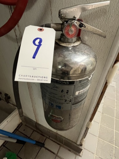 BUCKEYE S/S NSF FIRE EXTINGUISHER