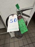 BUCKEYE S/S NSF FIRE EXTINGUISHER