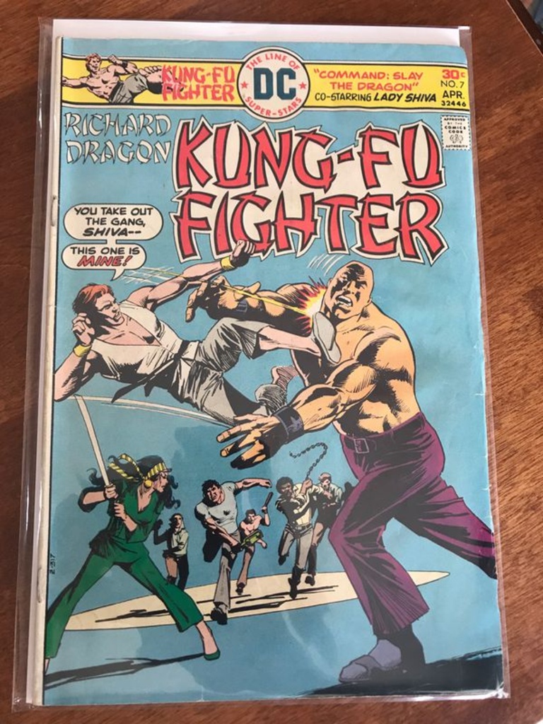 kung fu fighter comic