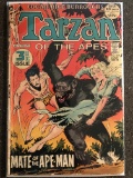 Tarzan Comics #209 DC Comics 1972 Bronze Age Comics Edgar Rice Burroughs Joe Kubert GIANT