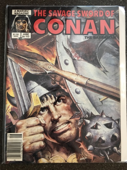Savage Sword of Conan Comic Magazine #113 Marvel 1985 Bronze Age The Barbarian Andy Kubert Earl Nore