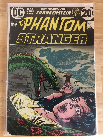 The Phantom Stranger #25 Comic DC Comics 1973 Bronze Age