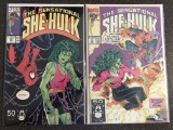 2 Sensational She-Hulk Comics #29-30 Run In Series Marvel Comics Spider-Man